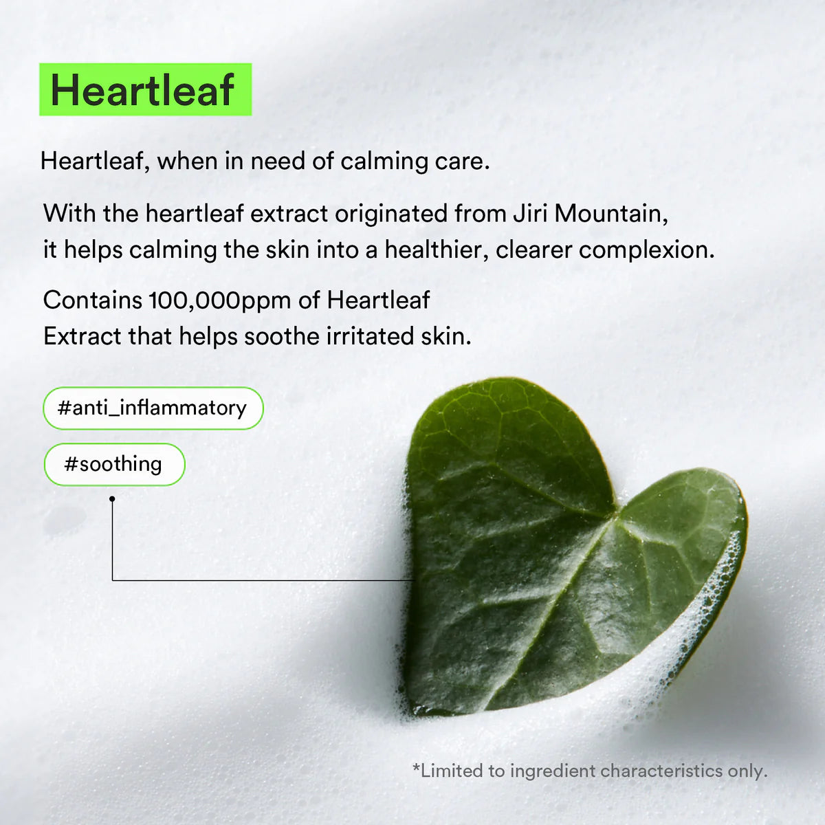 Mild Foam Heartleaf Cleanser