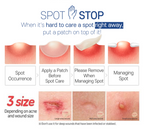 Witch Piggy Hell-Pore Blemish Spot Patch (44 patches)