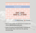 Hydro Ceramide Cleansing Powder