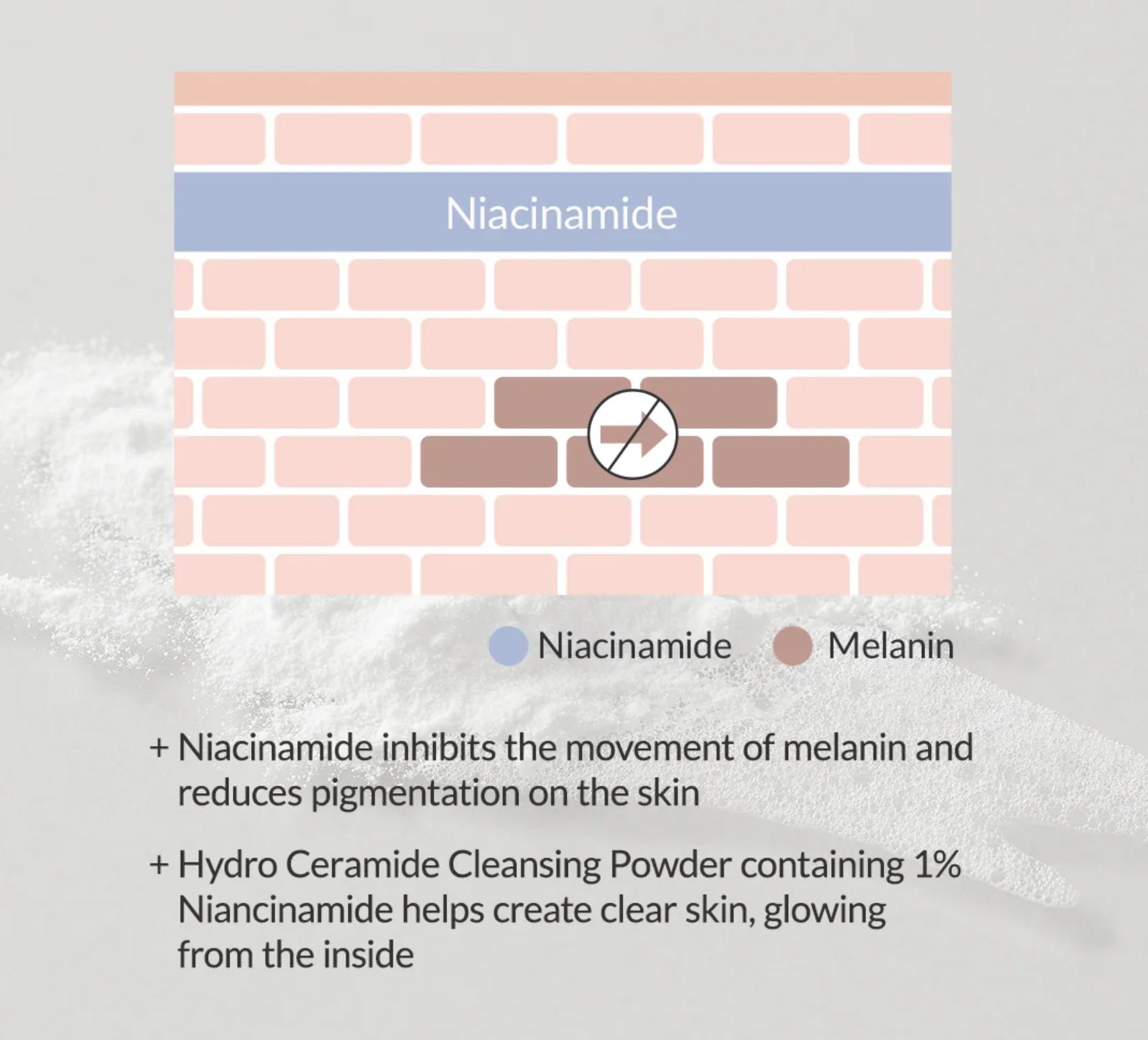 Hydro Ceramide Cleansing Powder