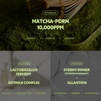 Matcha Skin Toner