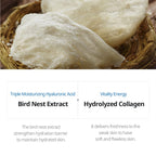 Birds Nest Moisture Mask