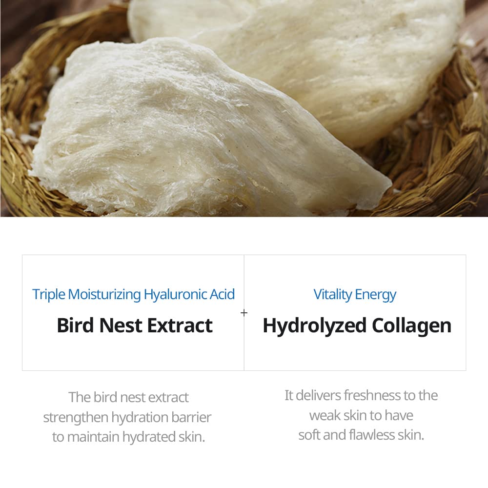 Birds Nest Moisture Mask