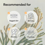 Collagen Gel Mask Jericho Rose Jelly